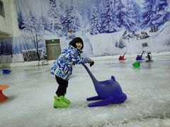 -赤马湖体育滑雪