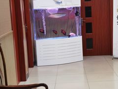 -东楠湾足浴·24H(金平路店)