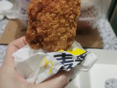 -麦当劳(新洲南路店)