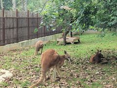 -大连森林动物园