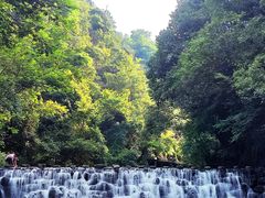 -石台牯牛降景区