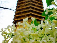 -玲珑塔公园