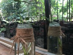 景观位-猪圈咖啡