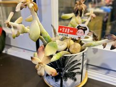 -ommo cafe(半岛城邦店)