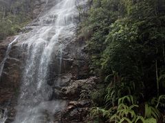 -九龙江国家森林公园