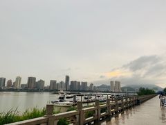 -野狸岛