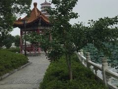 -妙乐寺