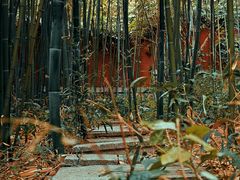 -千佛山风景名胜区