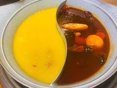 -青瓷火锅料理(西单大悦城店)