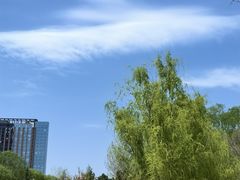-大望京公园