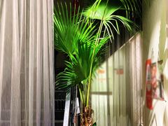 -沿途四季·云南菜(建外大街店)