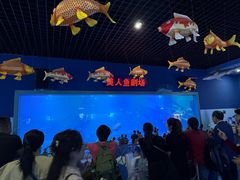 -福州罗源湾海洋世界旅游区
