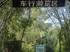 -海南热带野生动植物园