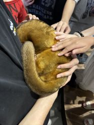 -Zoolung Zoolung动物主题公园(海信广场店)