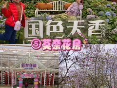 -盈香心动乐园