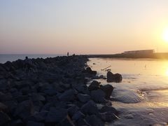 -南汇嘴观海公园