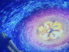 -海合安武汉极地海洋公园