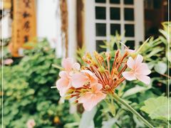 -吃货私房菜(丽江束河古镇店)