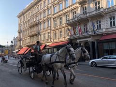 -Cafe Sacher(WIEN)
