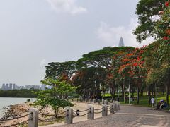 -深圳湾公园(南山区)