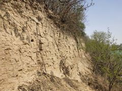 -汉长安城未央宫国家考古遗址公园