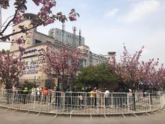 -嘉定紫藤园