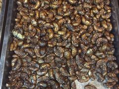 -昆虫窝子·特色云南菜(拓东路总店)