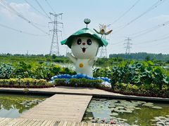 -池杉湖湿地公园
