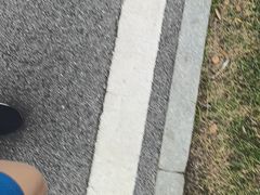-洋湖国家湿地公园