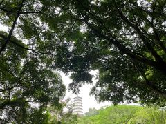 -深圳国际园林花卉博览园