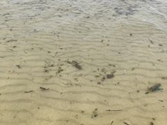 -那香海钻石沙滩浴场