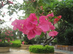 2011广州职业病学术会议-广州科尔海悦酒店