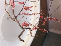 -大桶大足浴(江桥店)