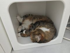 -艳阳天·非遗楚菜(武汉客厅店)