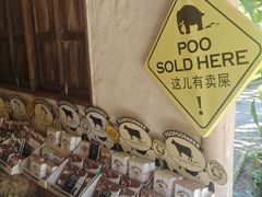 -大象粑粑造纸公园