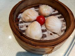 -新兴·金羊座·粤菜点心(乐峰店)