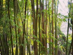 -新竹里馆·花园餐厅(兴苑路店)