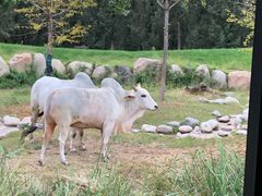 -北京野生动物园