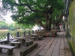 -小洲村