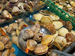 -半岛听涛蒸汽海鲜自助(K11店)