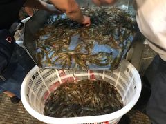 -海峡水产品交易中心(海鲜交易区)