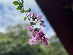 -天台山国清景区(国清寺)
