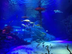 -沈阳海洋探索中心