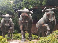 -昆明市金殿名胜区