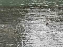 -九眼桥码头旧址