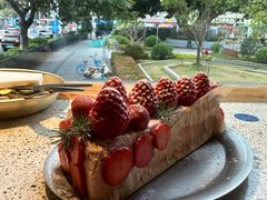 -野草莓自由市场