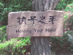 -燕窝岭