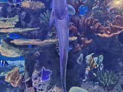 -多彩贵州城极地海洋世界