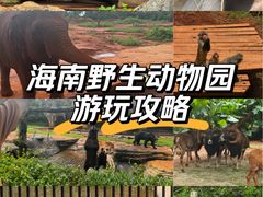 -海南热带野生动植物园