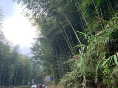 -广州市石门国家森林公园